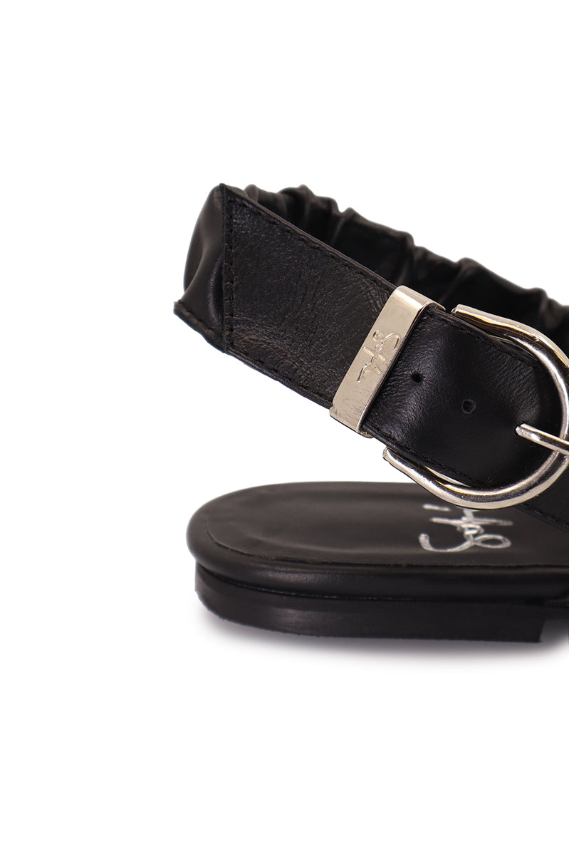 Slipper Atta