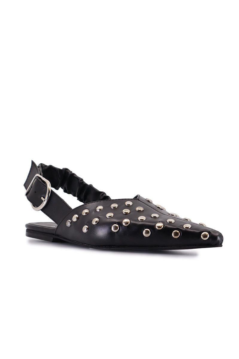 Slipper Atta