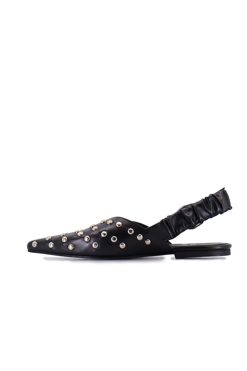 Slipper Atta